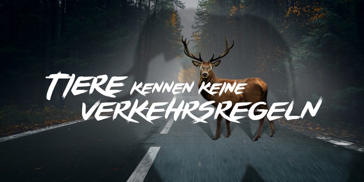 Wildunfälle: Neue Kampagne “Tiere kennen keine Verkehrsregeln” sensibilisiert Autofahrer für die Gefahr